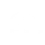 digital bridge